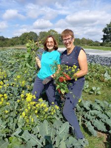 2 smiling volunteers standing in the sunshine in a field, in the process of weeding a bed of kale, holding large weeds
