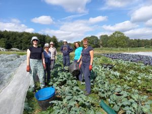 6 volunteers smiling standing in a kale field in the sunshine after having finished weeding